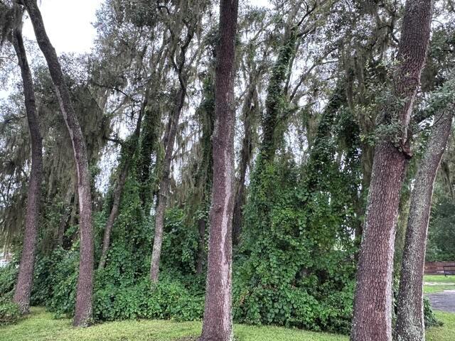   / 0  sq. ft. $ 2026-07-02 0 foto