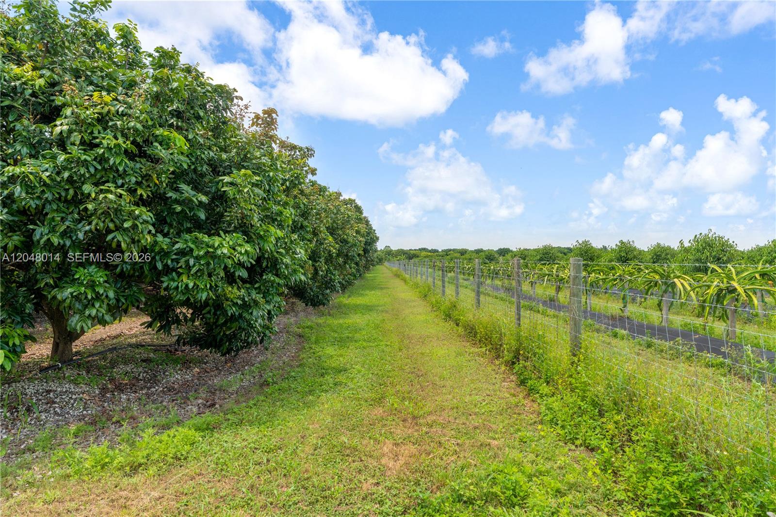 Ver detalles / sq. ft. $ 2026-07-04 0 foto