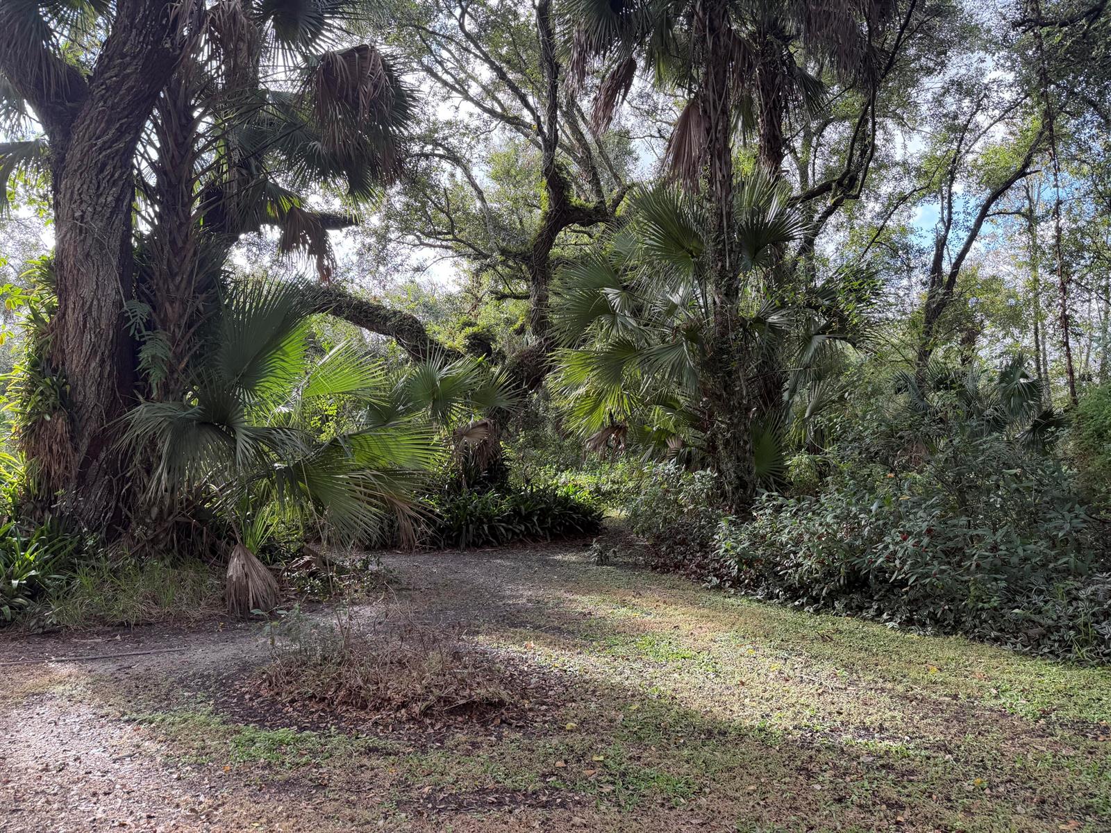   / 0  sq. ft. $ 2026-07-08 0 foto