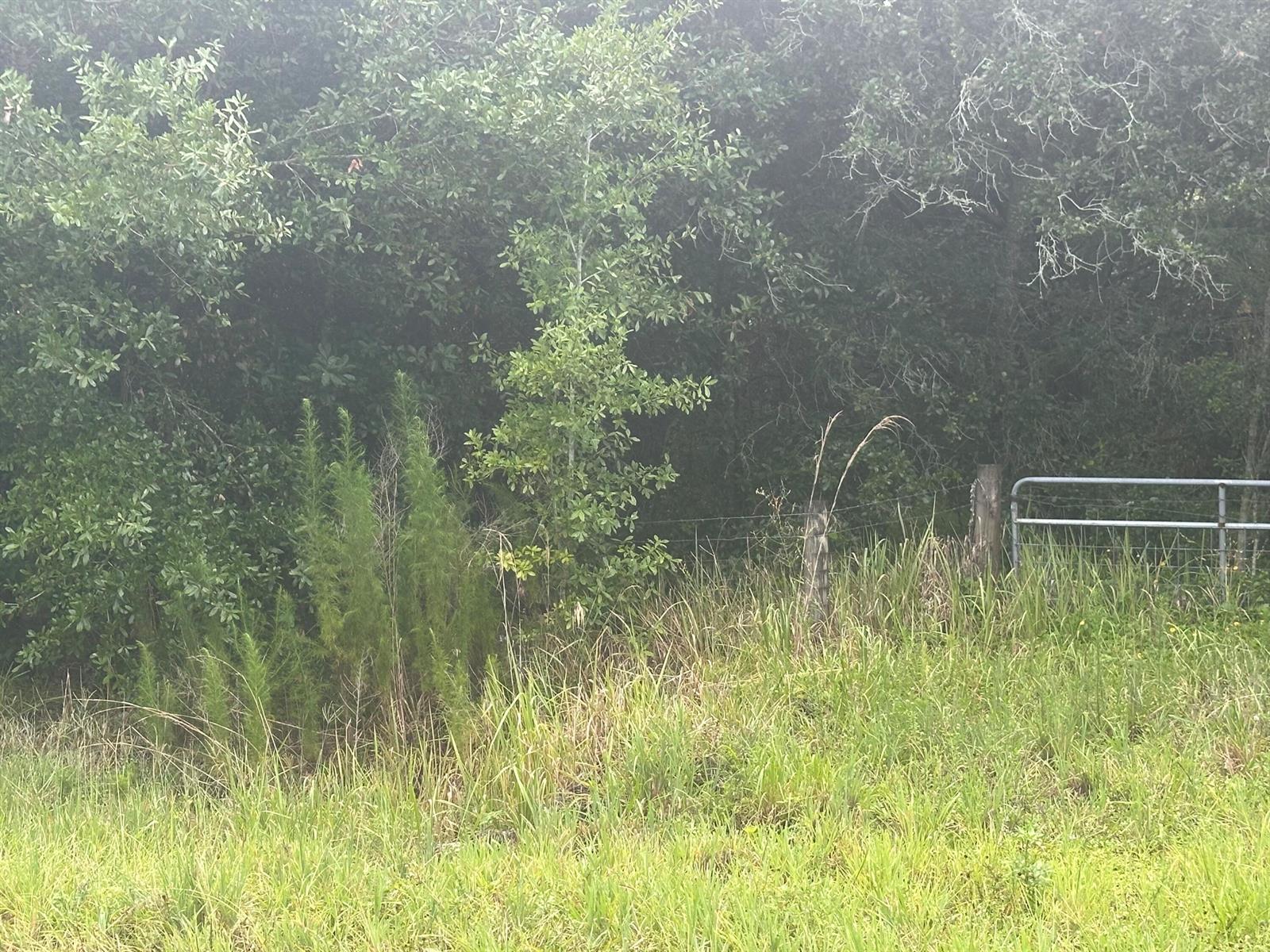   / 0  sq. ft. $ 2026-07-10 0 foto
