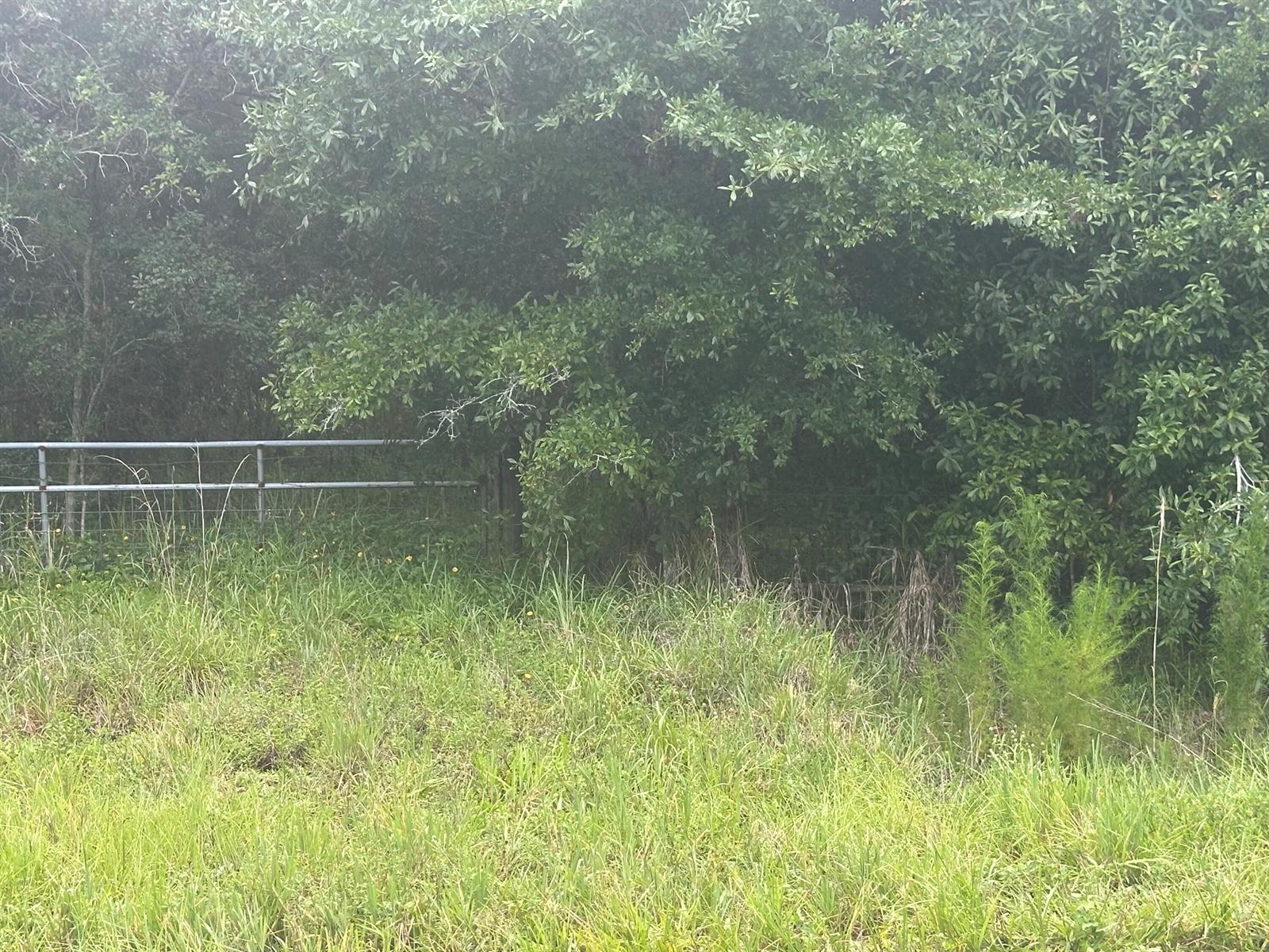   / 0  sq. ft. $ 2026-07-10 0 foto