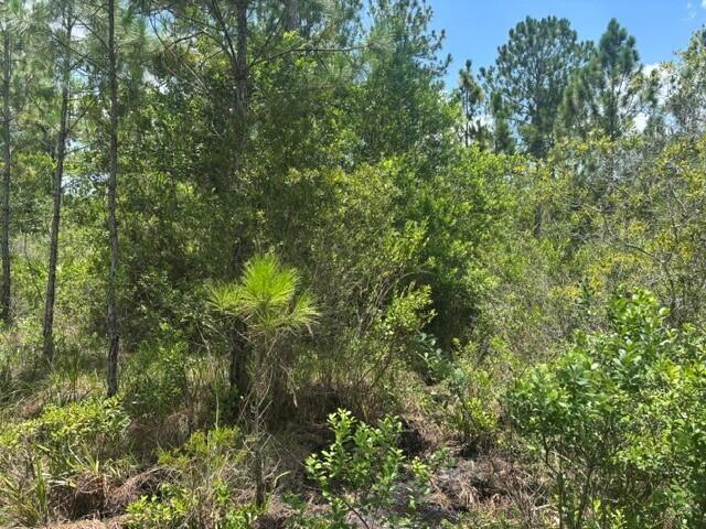   / 0  sq. ft. $ 2026-08-01 0 Photo