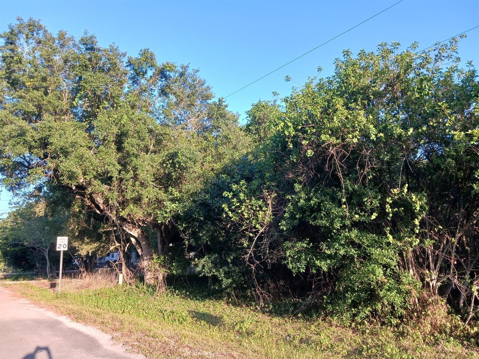 See details / 0 sq. ft. $ 2026-07-14 0 Photo