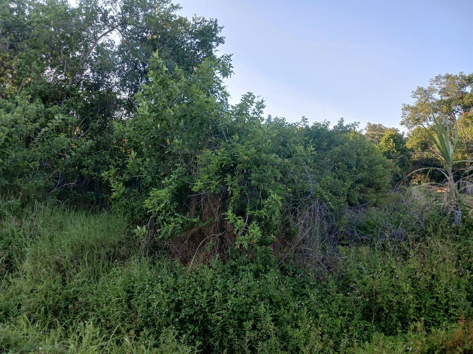 See details / 0 sq. ft. $ 2026-07-14 0 Photo