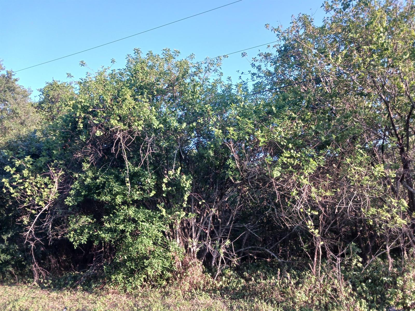 See details / 0 sq. ft. $ 2026-07-14 0 Photo