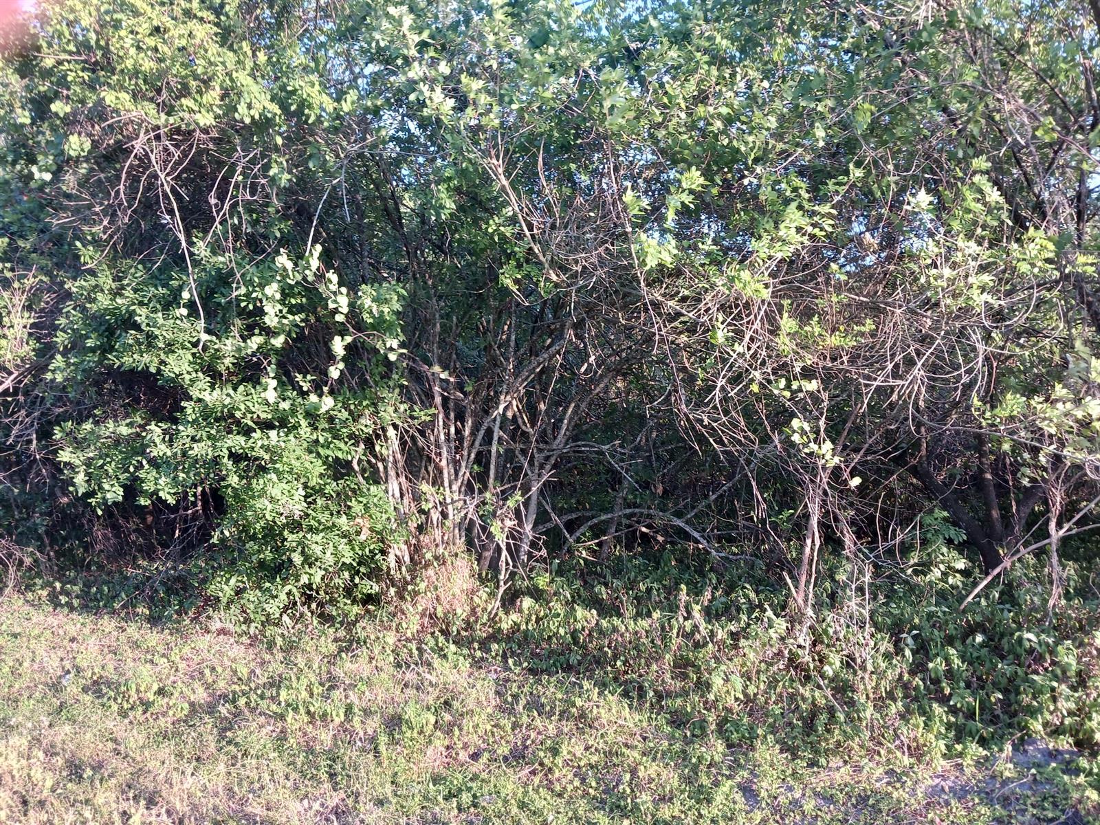 See details / 0 sq. ft. $ 2026-07-14 0 Photo