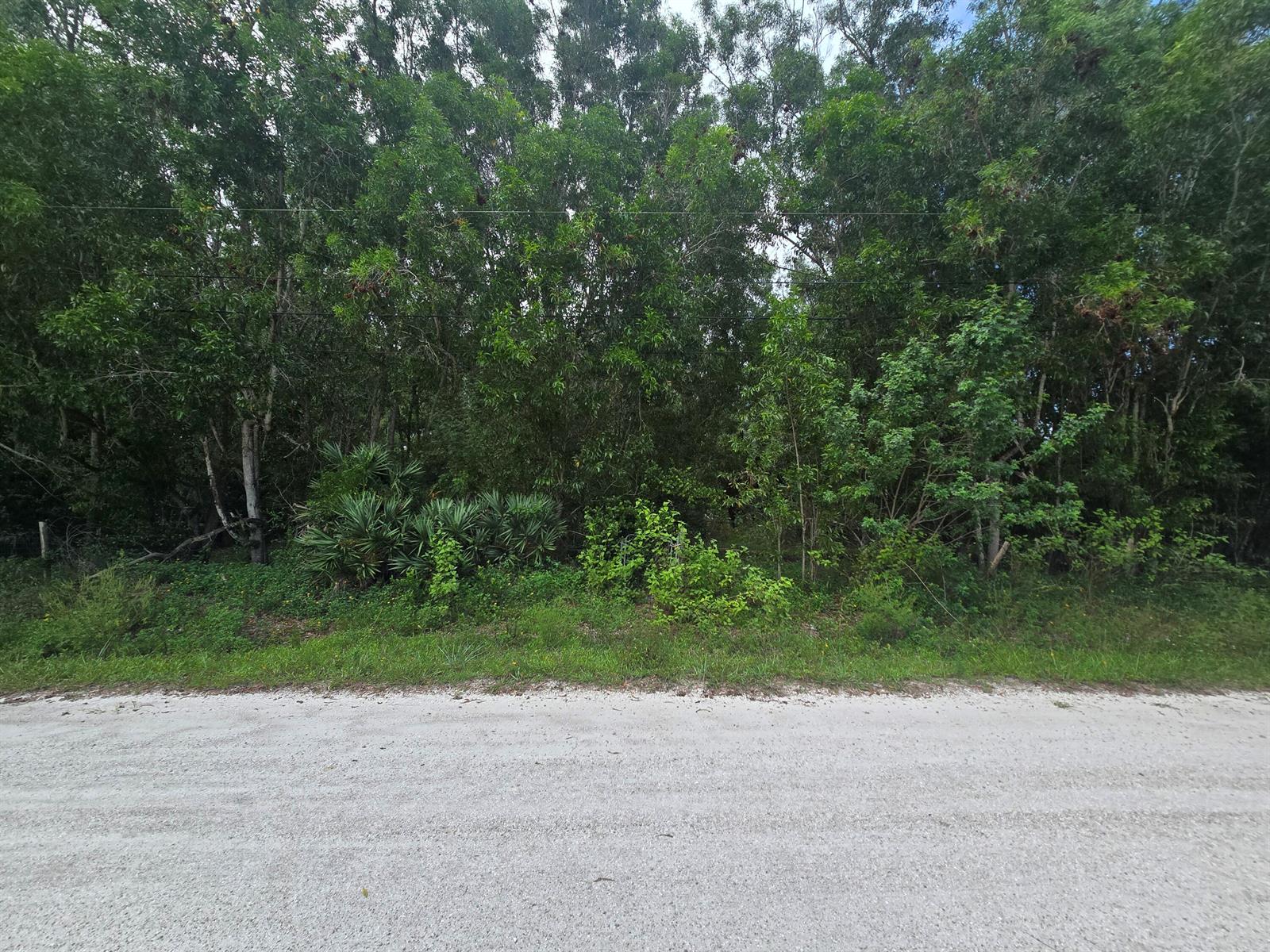 Ver detalles / 0 sq. ft. $ 2026-07-14 0 foto