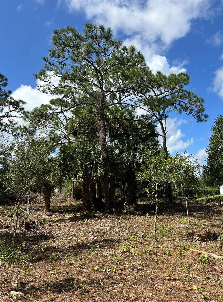 See details / 0 sq. ft. $ 2026-07-14 0 Photo