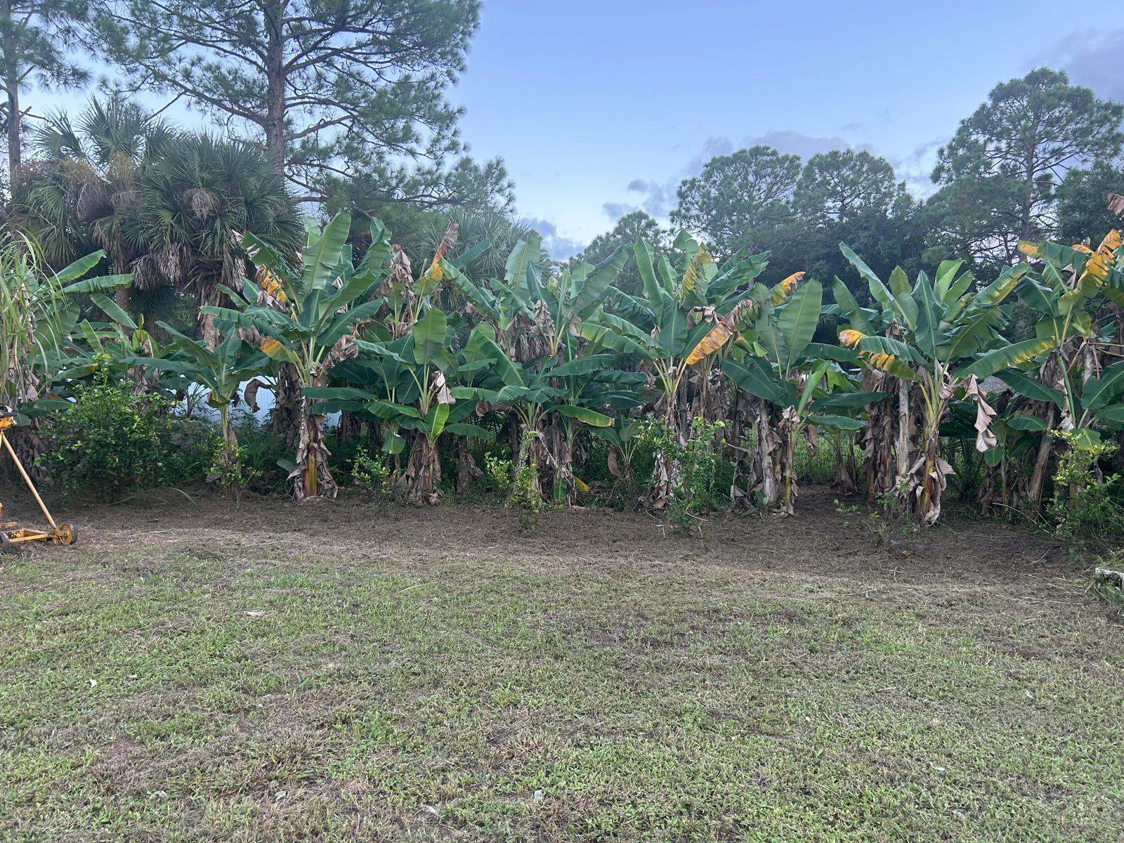   / 0  sq. ft. $ 2026-07-15 0 foto