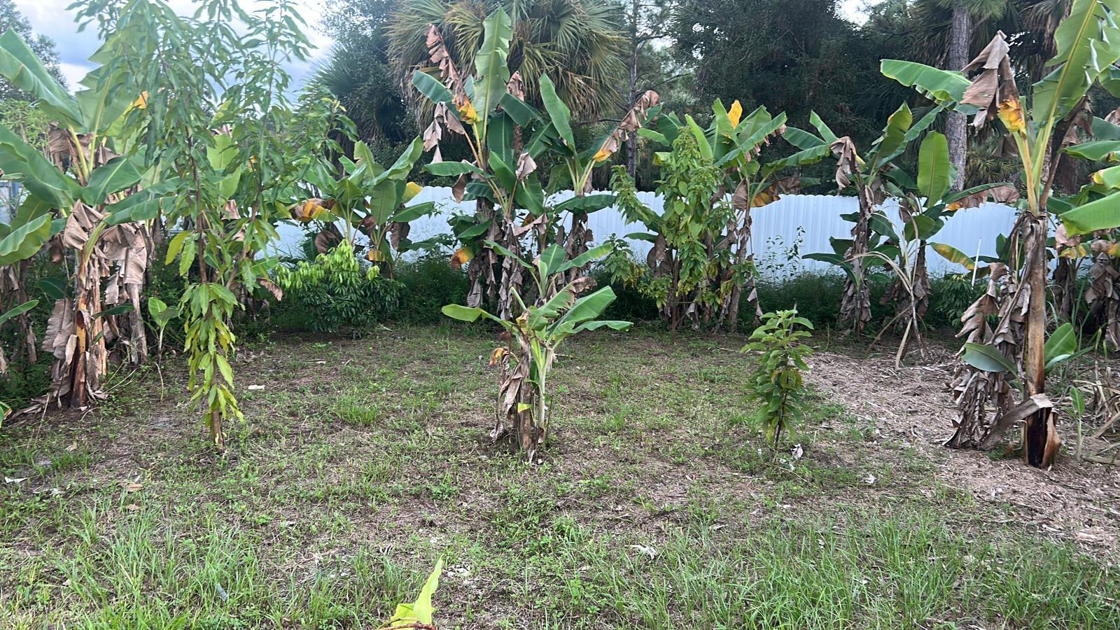   / 0  sq. ft. $ 2026-07-15 0 foto