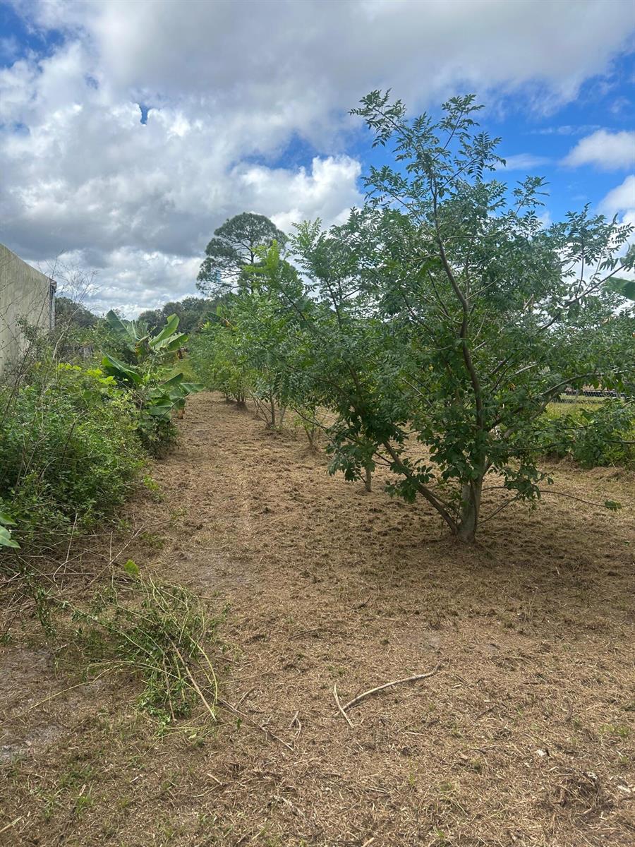   / 0  sq. ft. $ 2026-07-15 0 foto