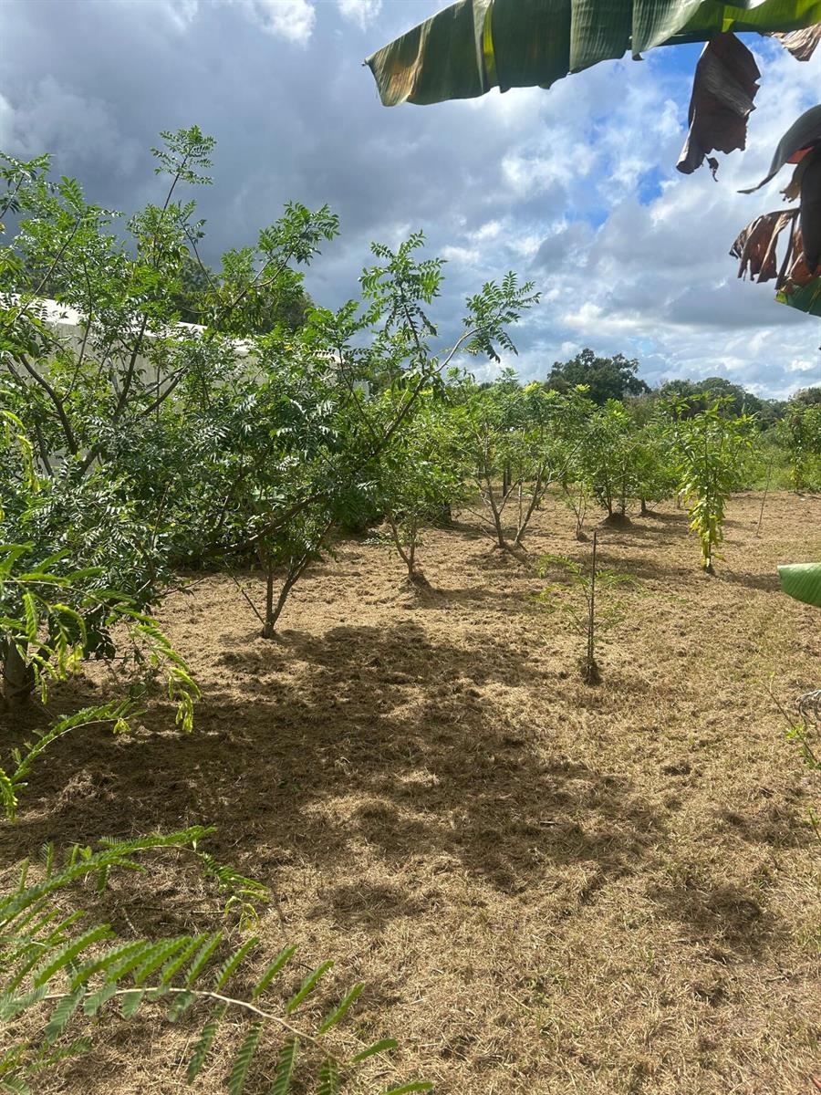  / 0  sq. ft. $ 2026-07-15 0 foto