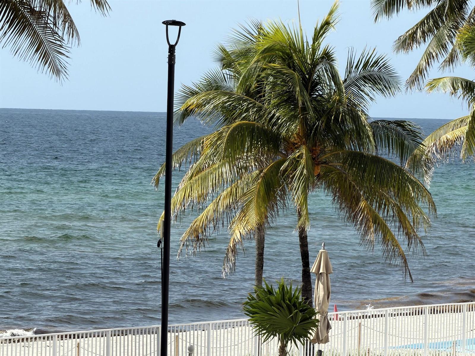 Photo of 2101 Ocean #505, Hollywood, Florida, 33019 - View