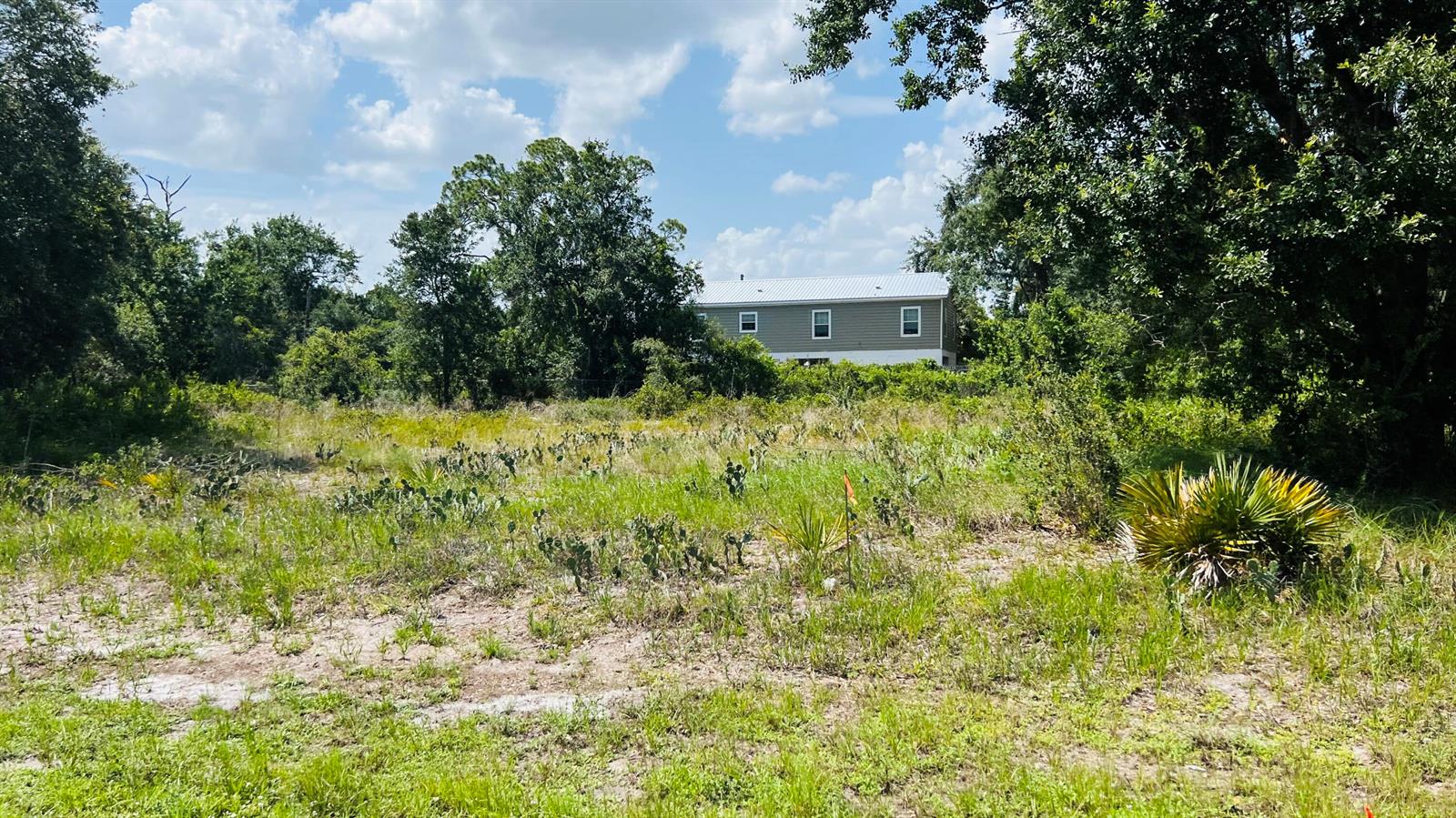   / 0  sq. ft. $ 2026-07-15 0 Photo