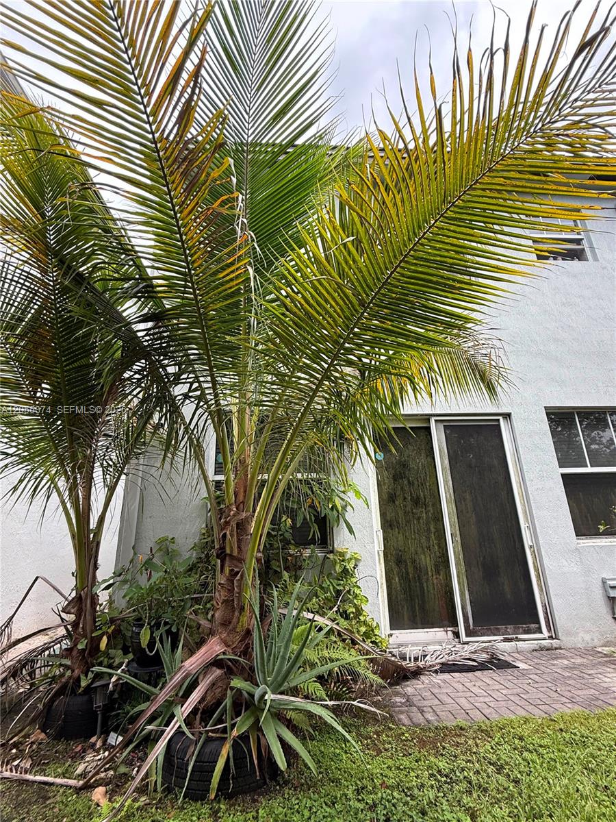 Ver detalles 3 / 3 1642 sq. ft. $ 2026-07-18 0 foto