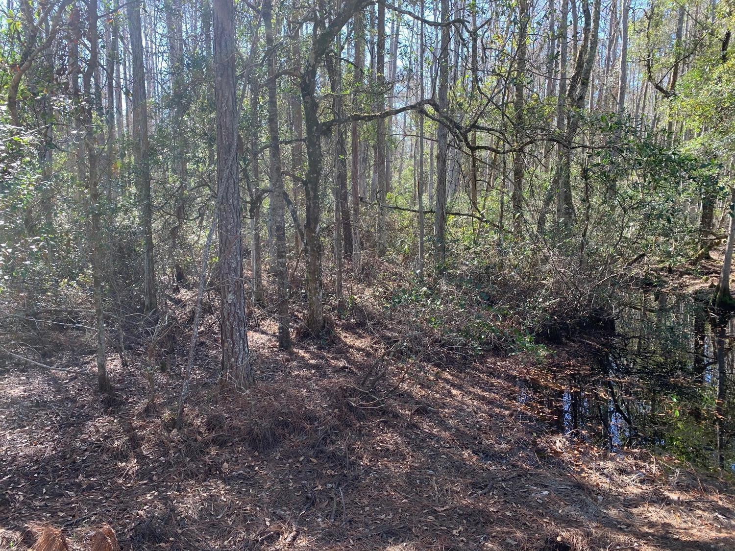 See details / 0 sq. ft. $ 2026-07-21 0 Photo