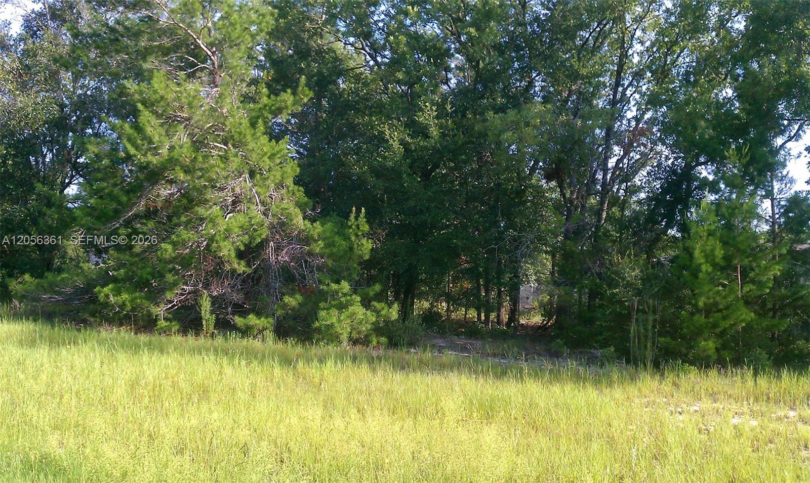 See details / sq. ft. $ 2026-07-20 0 Photo