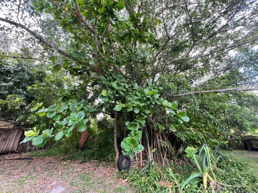 Ver detalles / 0 sq. ft. $ 2026-07-21 0 foto