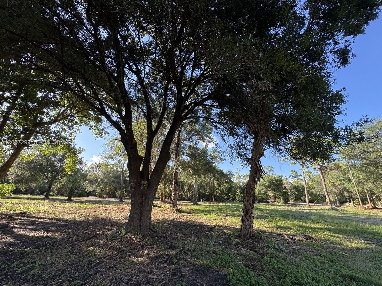 Ver detalles / sq. ft. $ 2026-07-21 0 foto