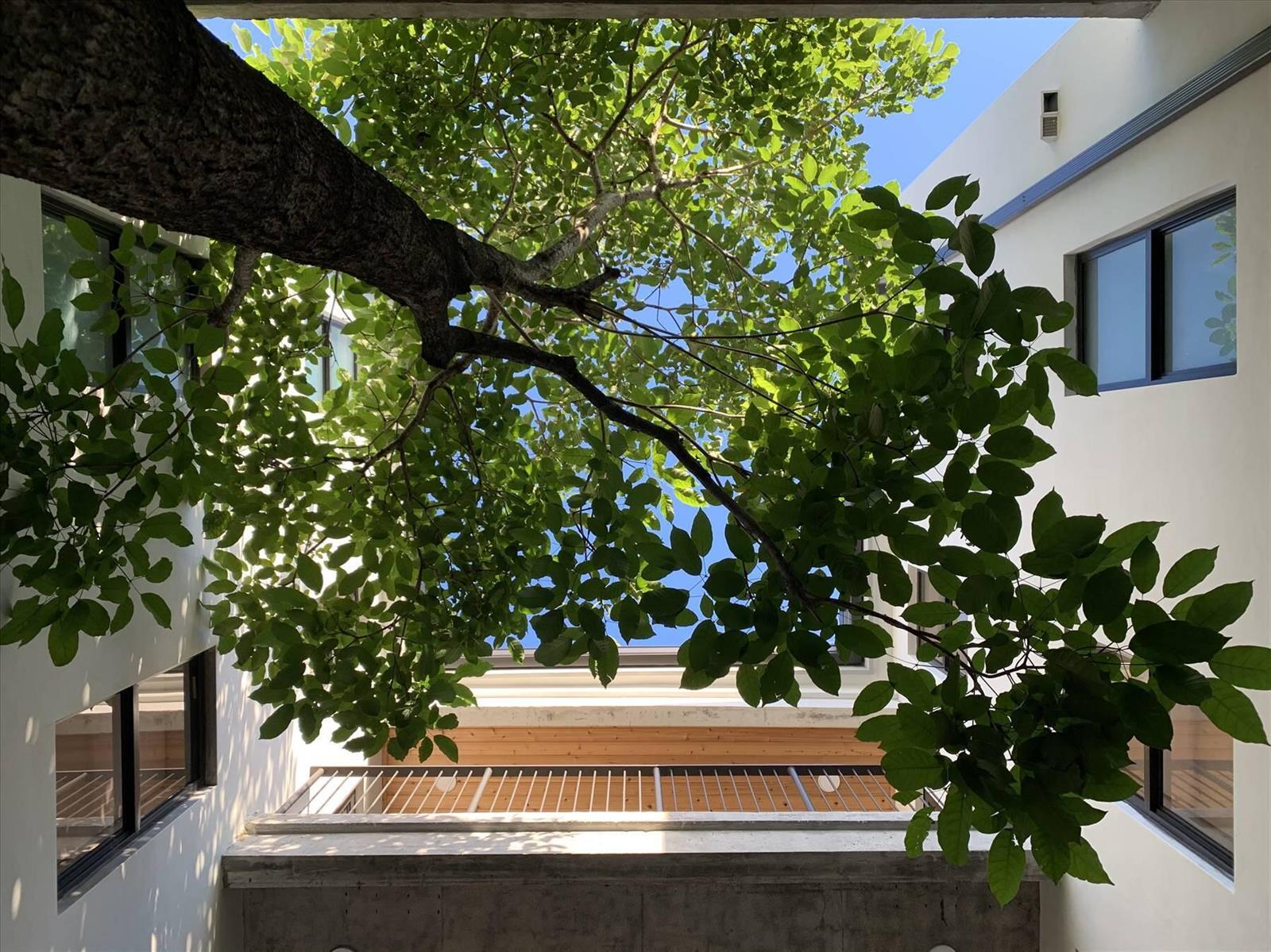 Ver detalles Casa Flambo / 0 sq. ft. $ 2026-07-25 0 foto