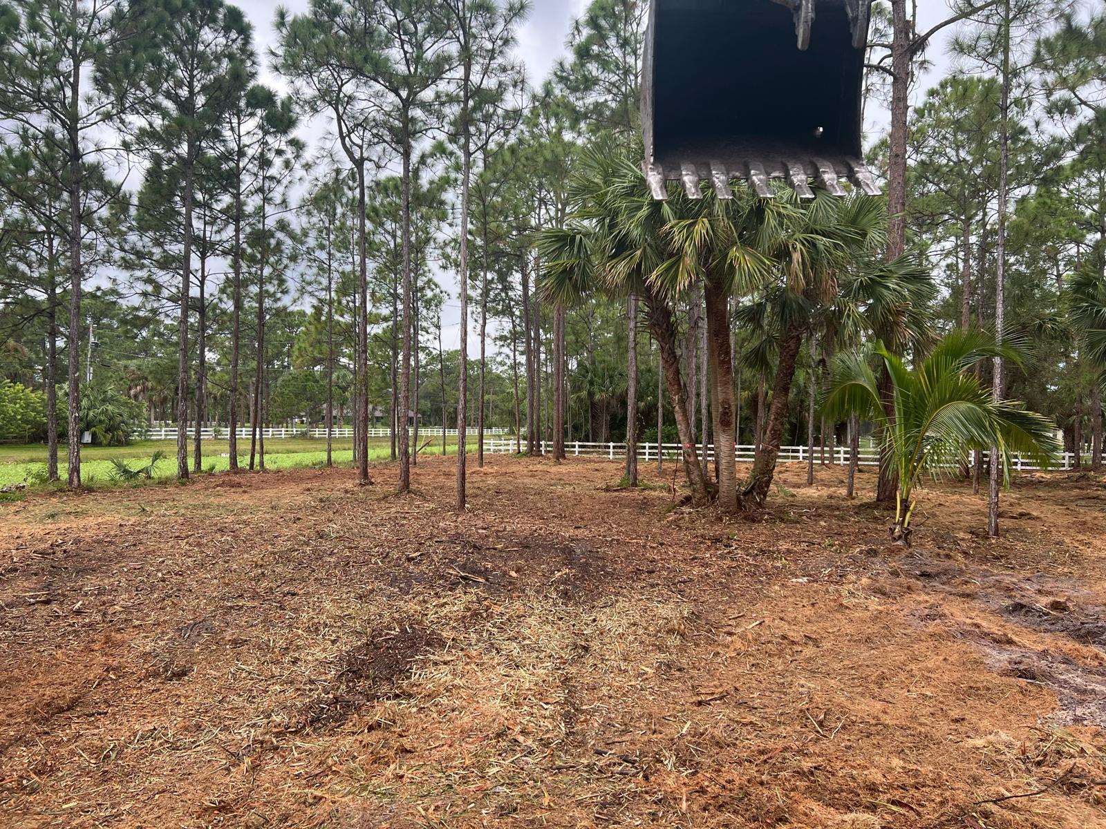   / 0  sq. ft. $ 2026-07-24 0 foto