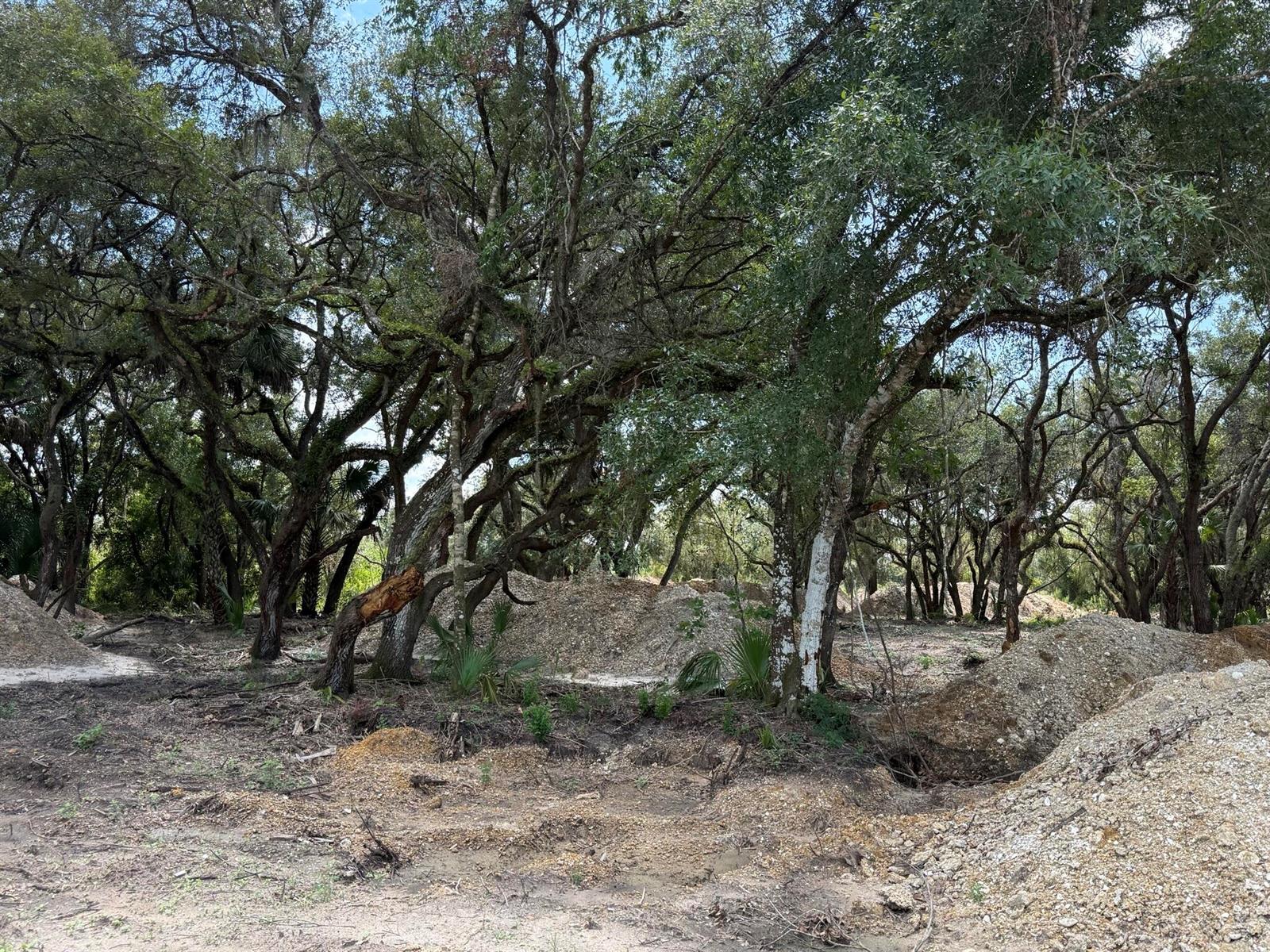   / 0  sq. ft. $ 2026-08-26 0 Photo