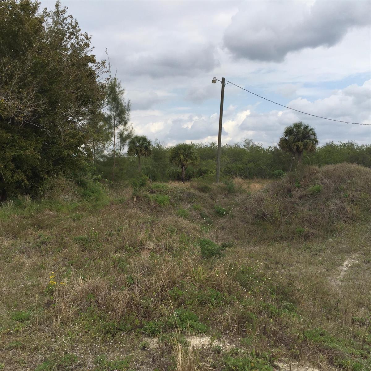   / 0  sq. ft. $ 2026-07-29 0 Photo