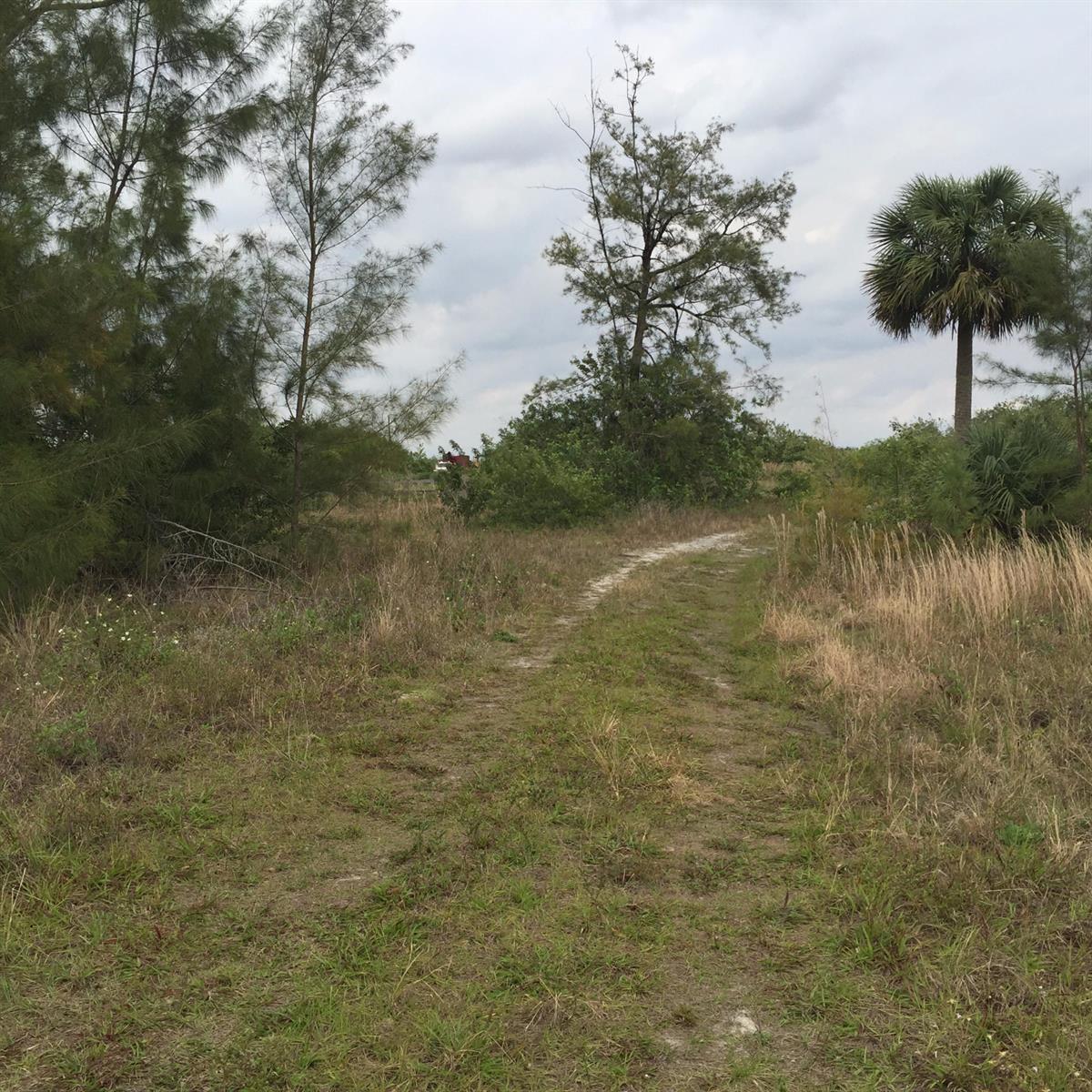   / 0  sq. ft. $ 2026-07-29 0 Photo