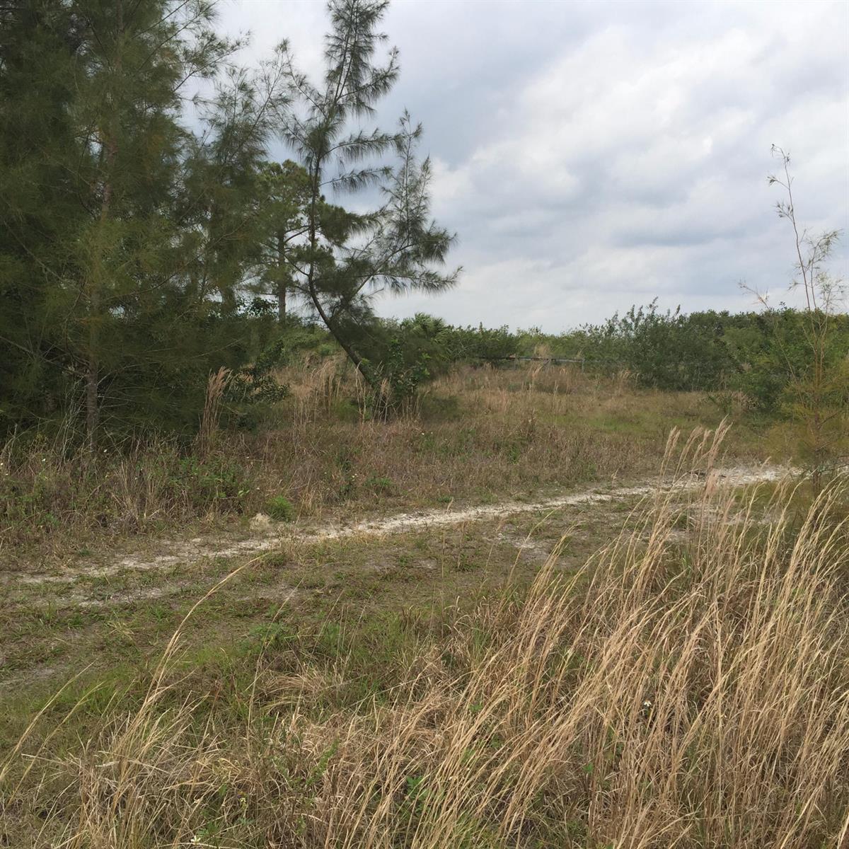   / 0  sq. ft. $ 2026-07-29 0 Photo
