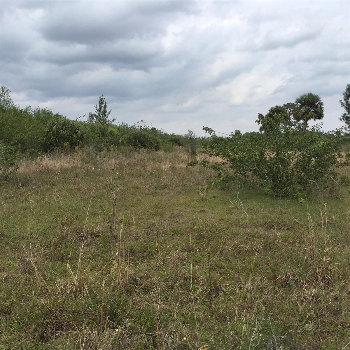   / 0  sq. ft. $ 2026-07-29 0 Photo