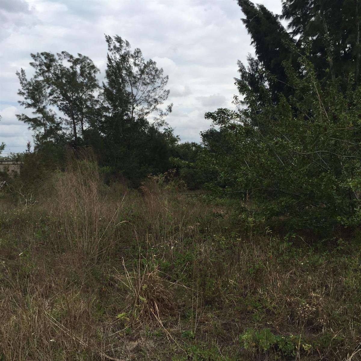   / 0  sq. ft. $ 2026-07-29 0 Photo