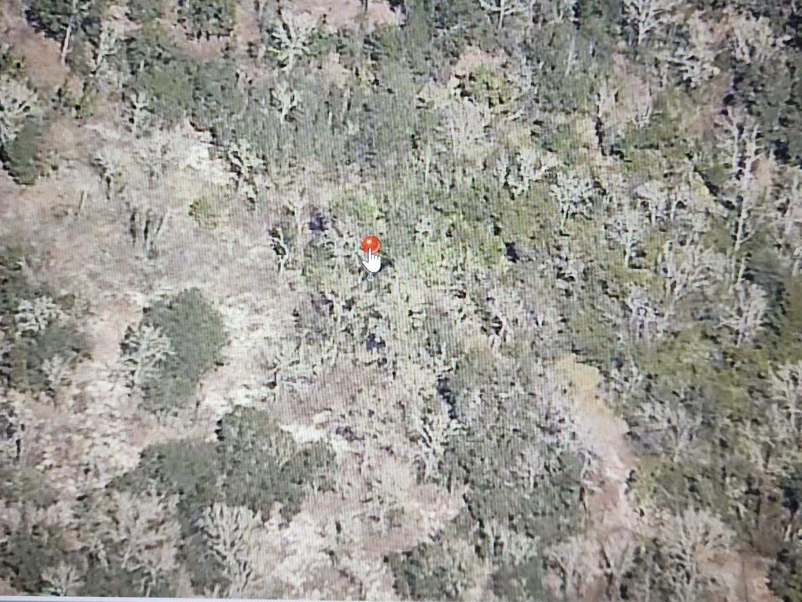  / 0  sq. ft. $ 2026-07-29 0 Photo