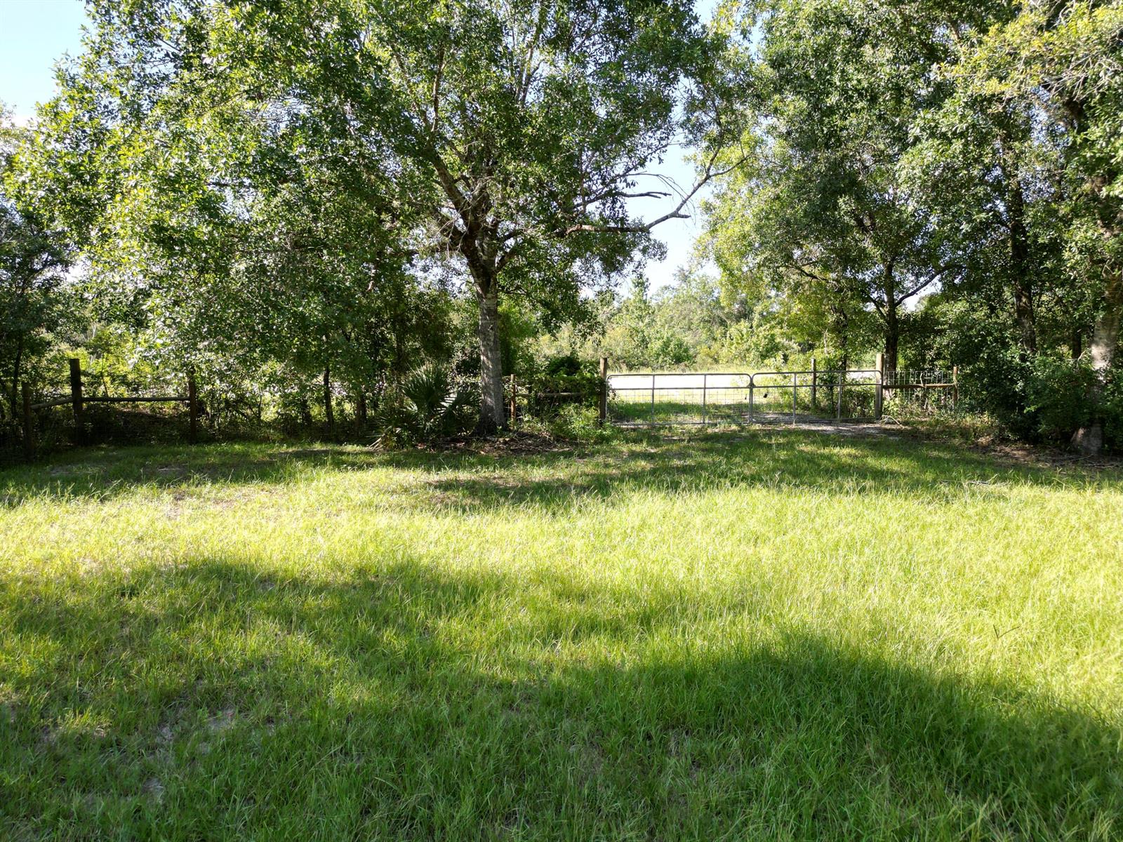   / 0  sq. ft. $ 2026-07-29 0 Photo