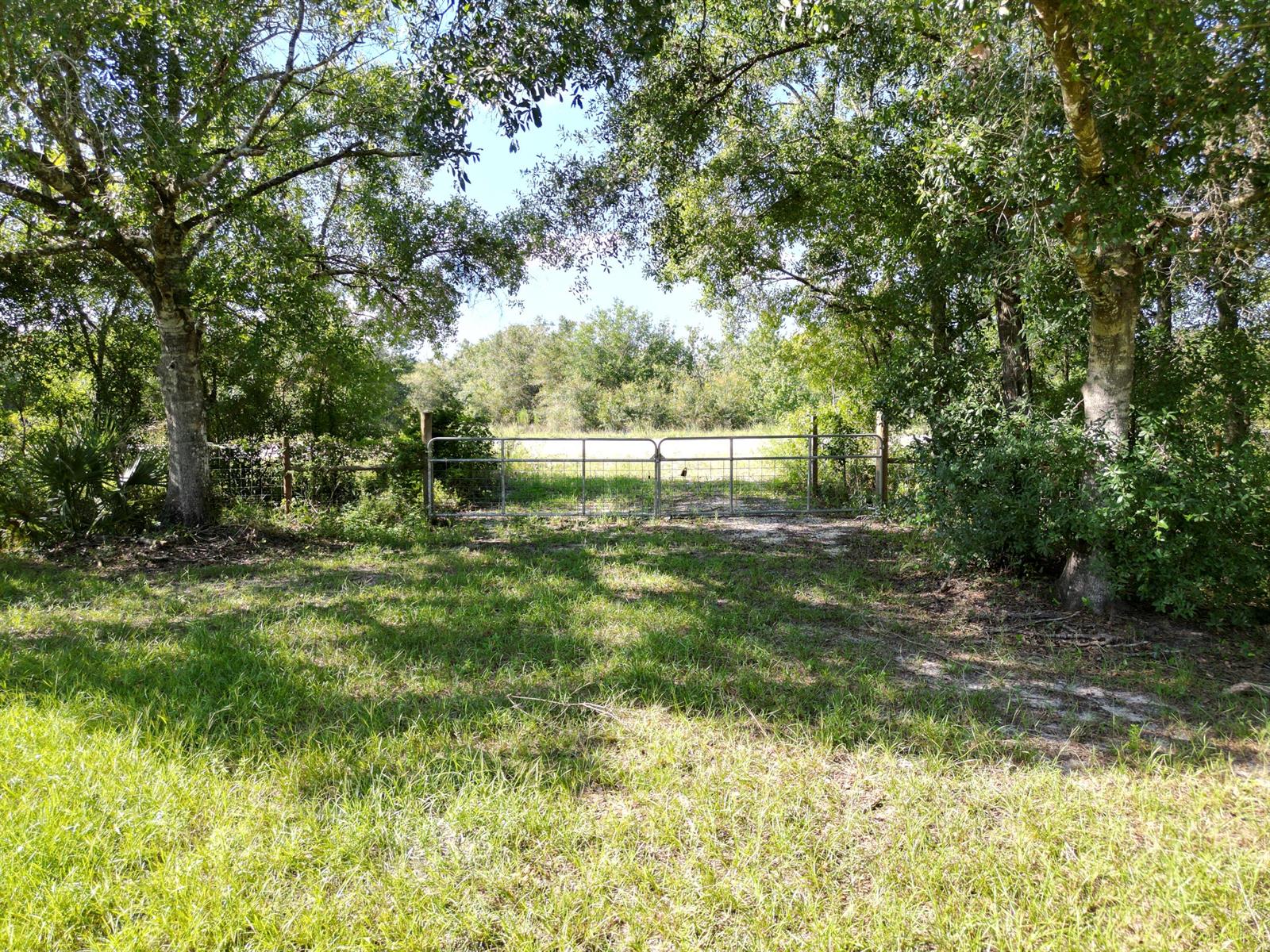   / 0  sq. ft. $ 2026-07-29 0 Photo