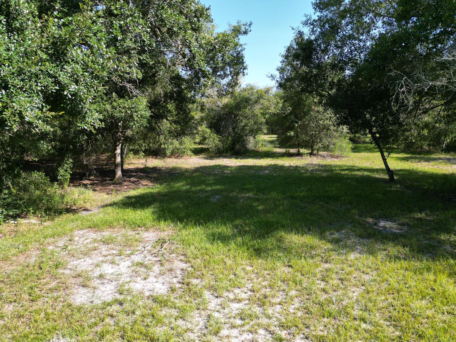   / 0  sq. ft. $ 2026-07-29 0 Photo