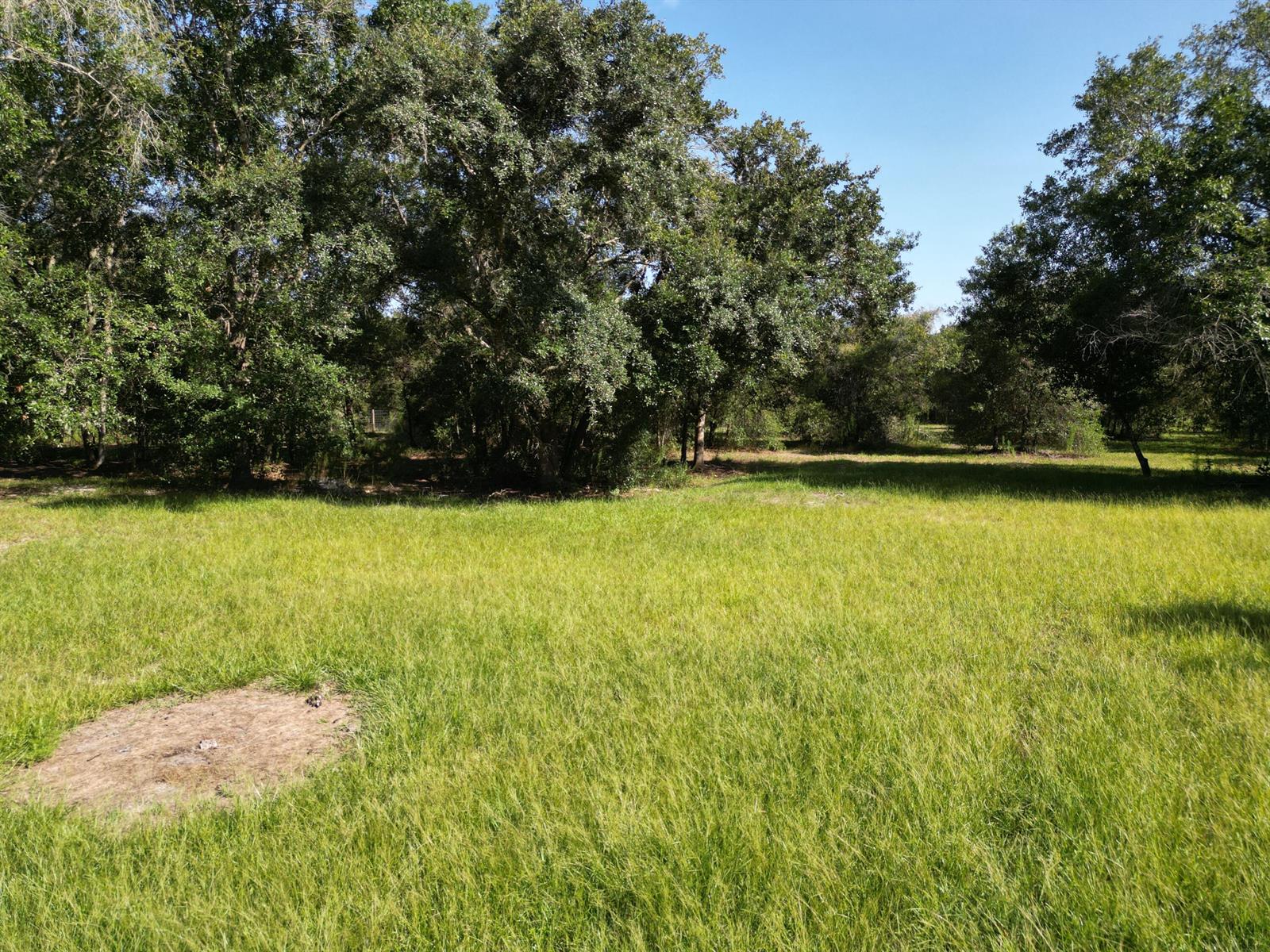   / 0  sq. ft. $ 2026-07-29 0 Photo