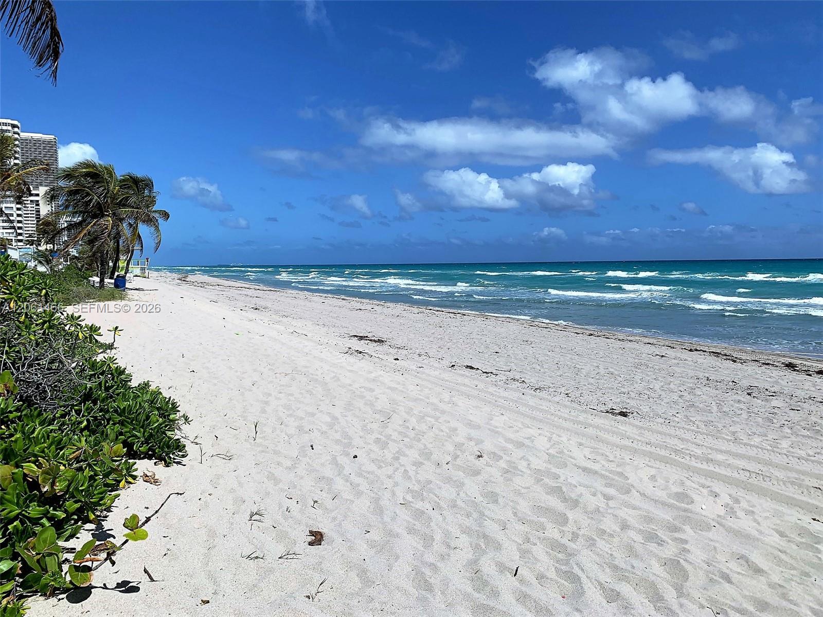 Photo of 2080 Ocean Drive #204, Hallandale Beach, Florida, 33009 -