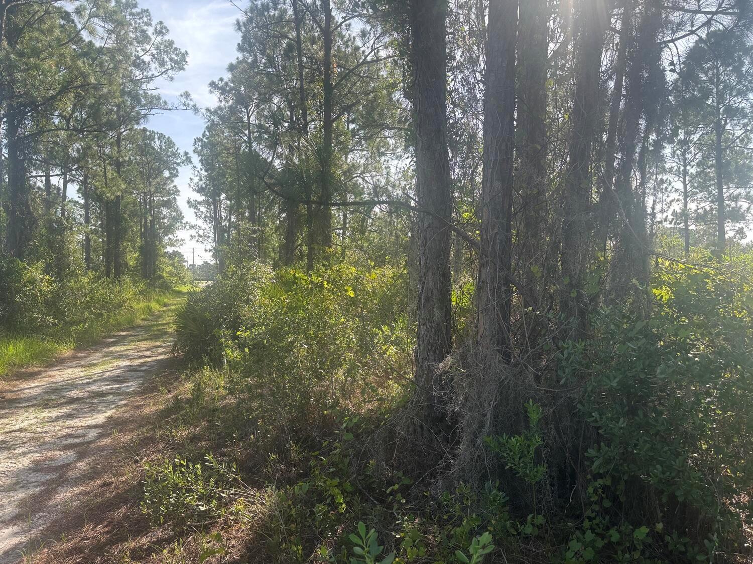   / 0  sq. ft. $ 2026-08-19 0 Photo