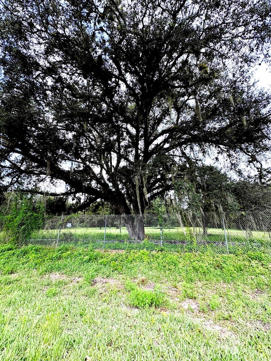   / 0  sq. ft. $ 2026-07-30 0 Photo