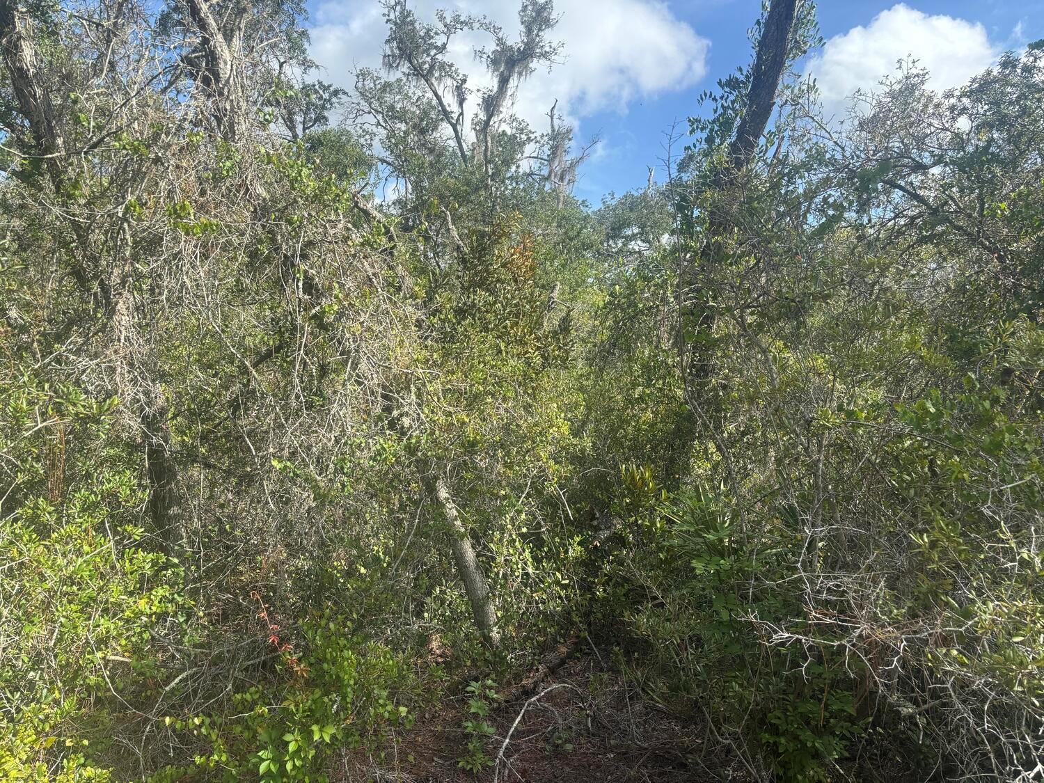   / 0  sq. ft. $ 2026-08-19 0 foto