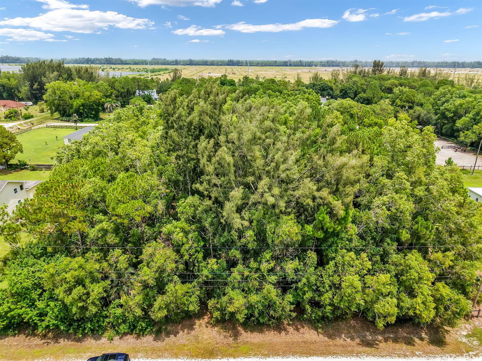   / 0  sq. ft. $ 2026-07-31 0 Photo