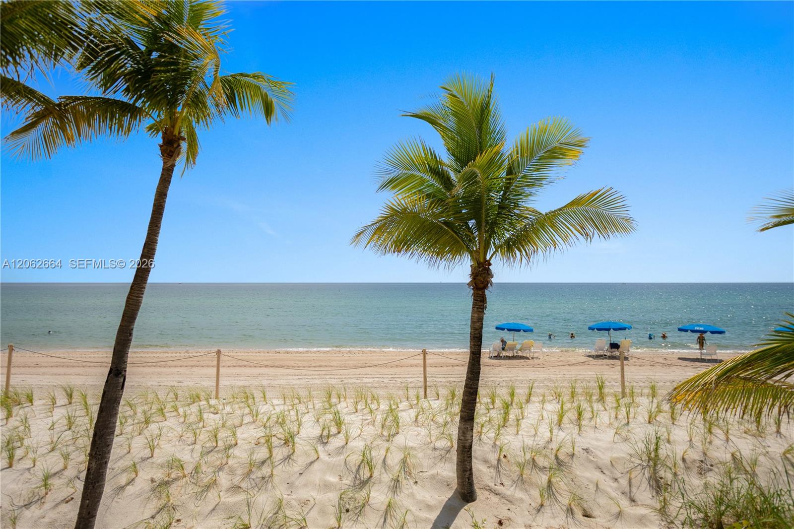 Photo 47 of Ocean Dr