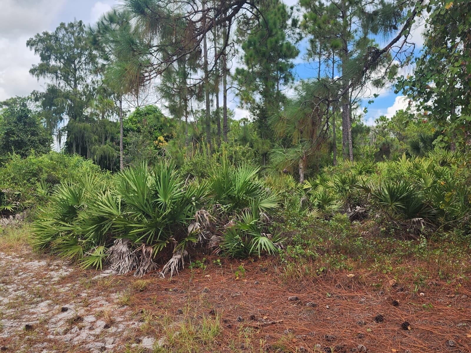   / 0  sq. ft. $ 2026-09-03 0 foto