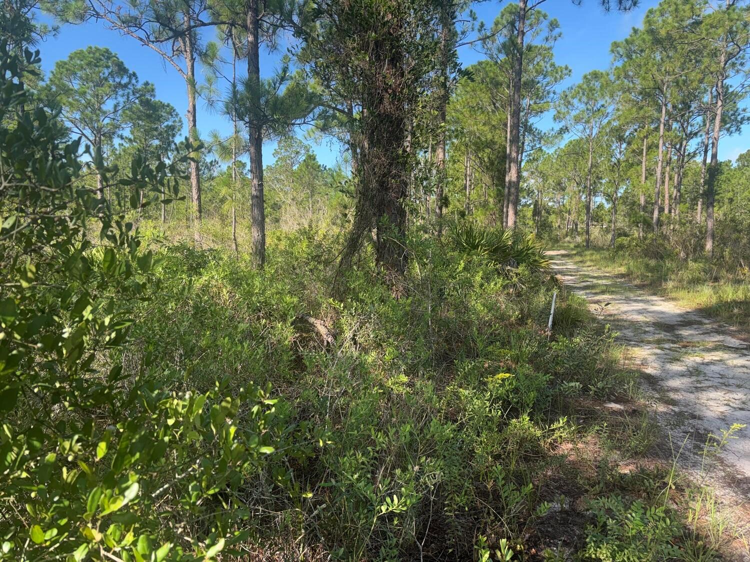 See details / 0 sq. ft. $ 2026-08-25 0 Photo
