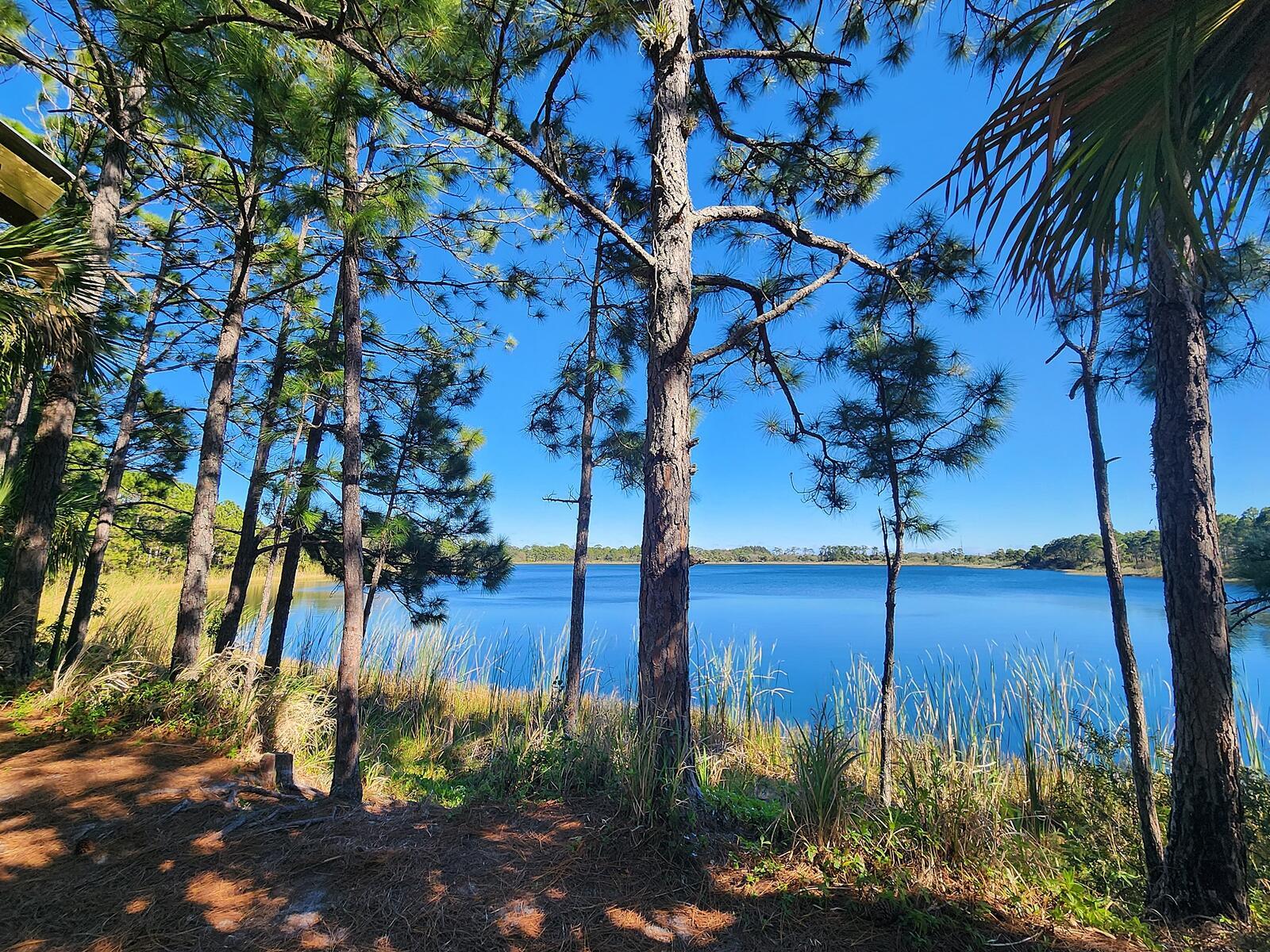 See details / 0 1908 sq. ft. $ 2026-08-06 0 Photo