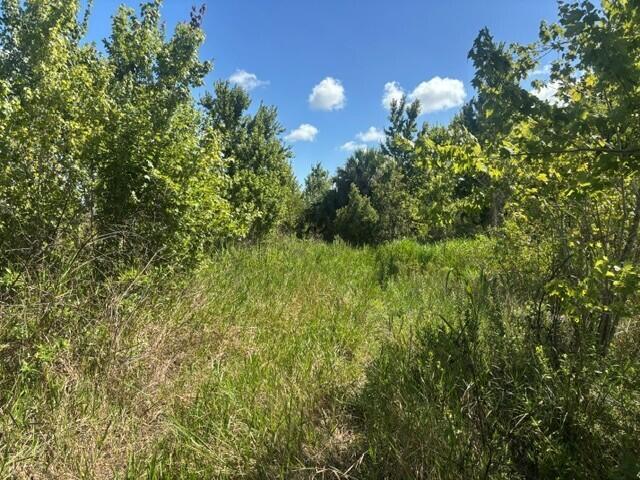See details / 0 sq. ft. $ 2026-08-25 0 Photo