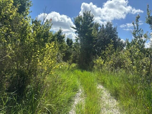 See details / 0 sq. ft. $ 2026-08-25 0 Photo