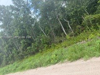   /   sq. ft. $ 2026-08-13 0 foto