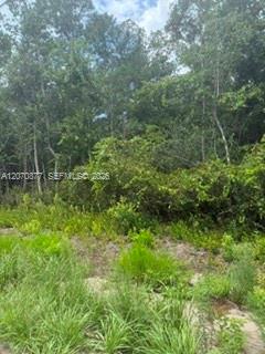   /   sq. ft. $ 2026-08-13 0 foto