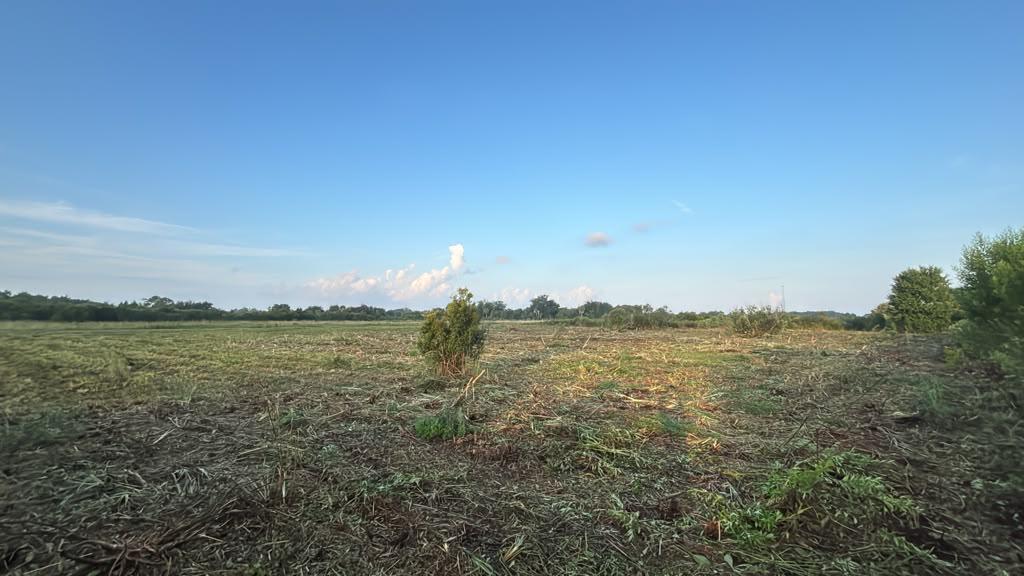   / 0  sq. ft. $ 2026-08-14 0 foto